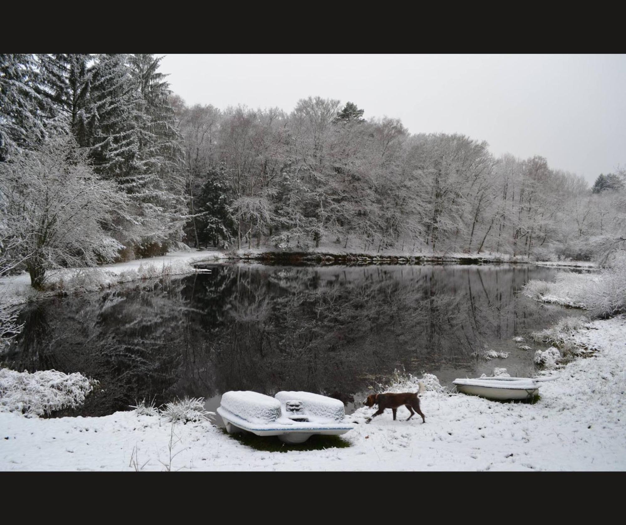Cabane Limousine Au Bord D'Un Etang Bonnac-la-Cote Екстер'єр фото